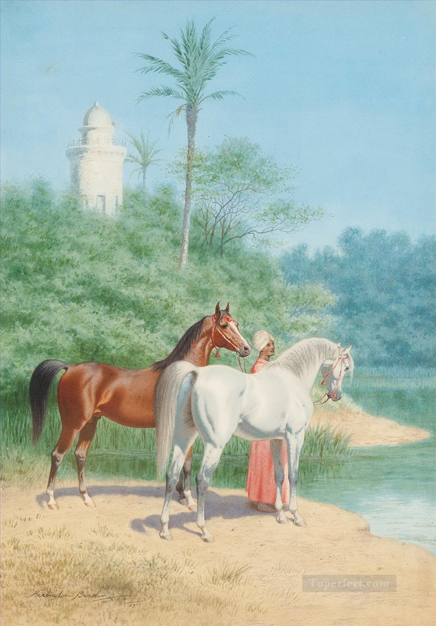 far0083D13 classic figure Arabian Arabic horses Oil Paintings